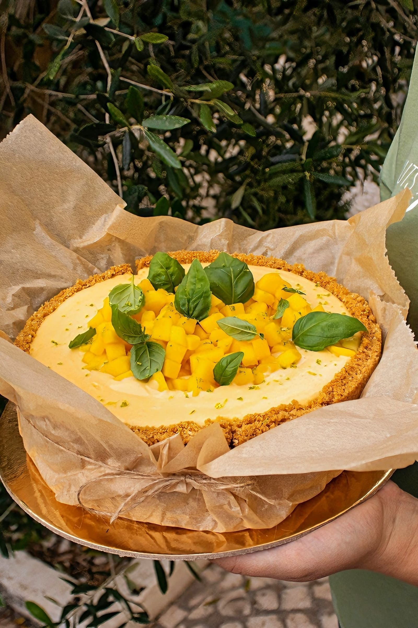 Cheesecake Tropical